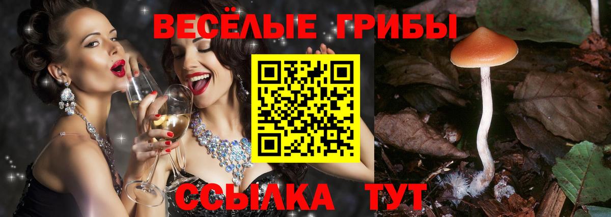 хочу   Вход с VPN  Лениногорск  Галлюциногенные грибы Cubensis 