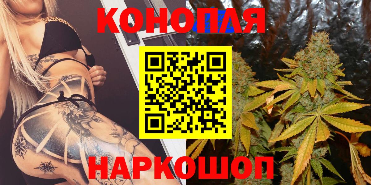 Марихуана сатива Лениногорск